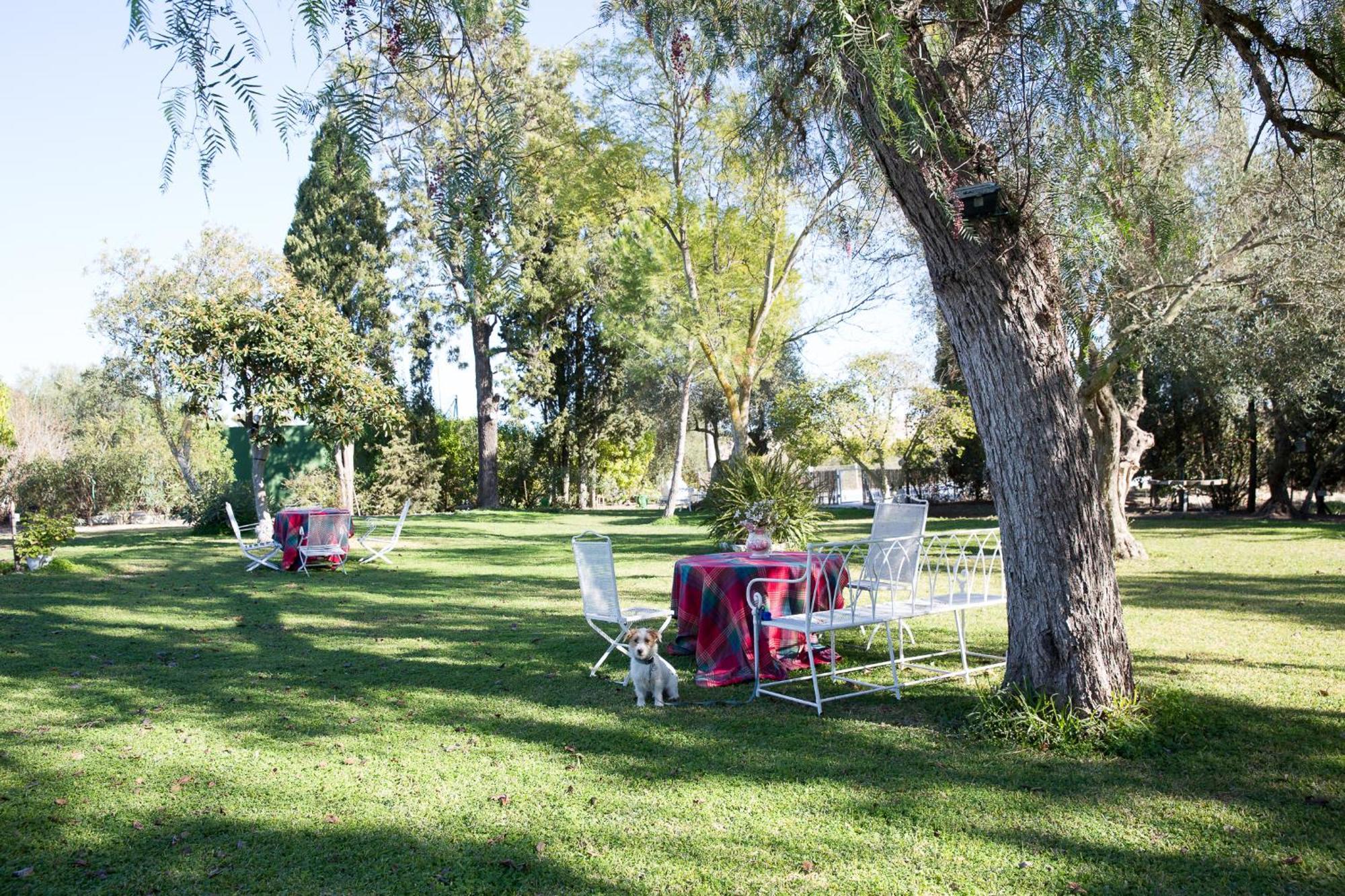 Cortijo Rural La Mariscala Villa Jerez de la Frontera Eksteriør bilde