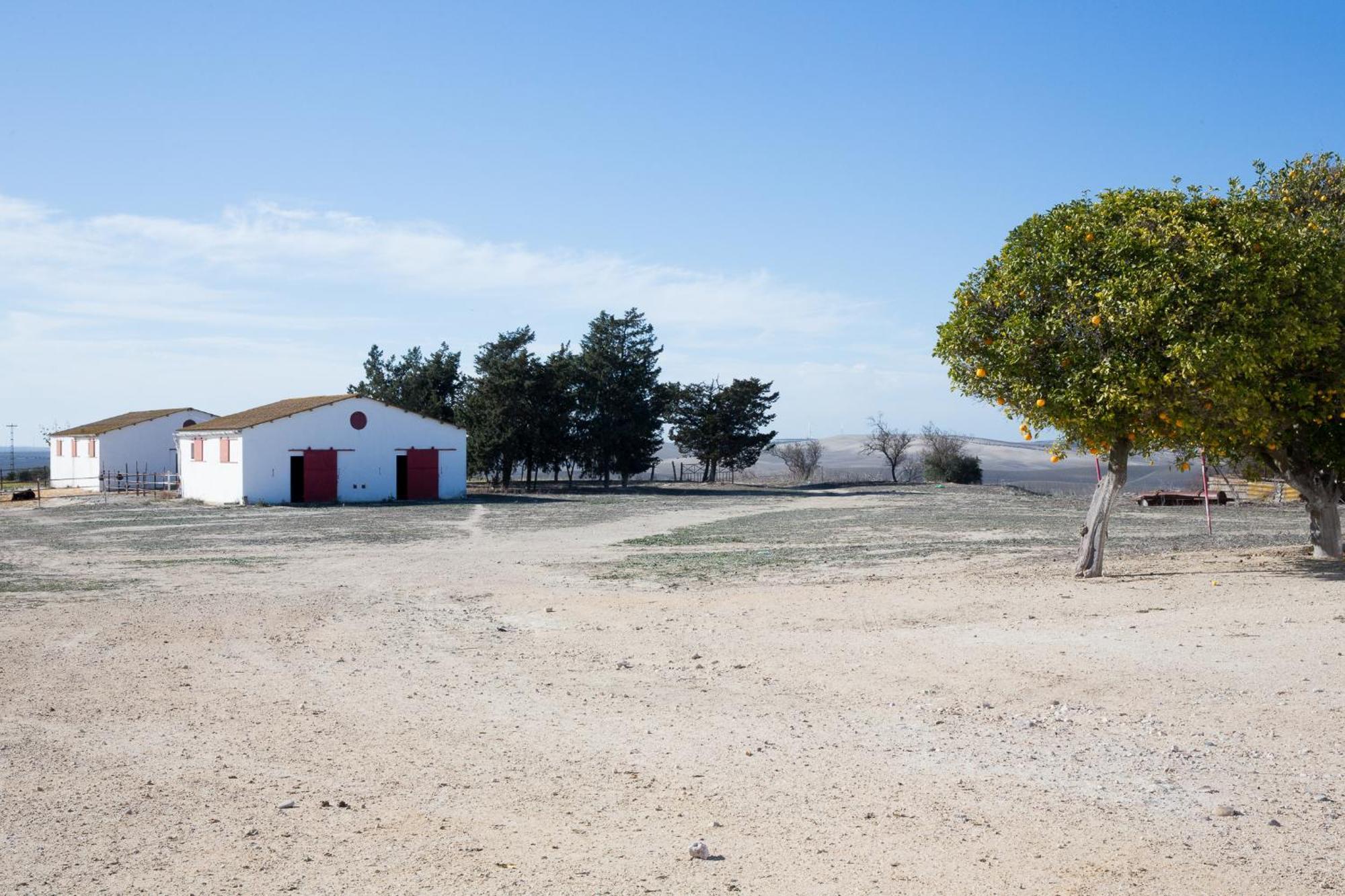 Cortijo Rural La Mariscala Villa Jerez de la Frontera Eksteriør bilde
