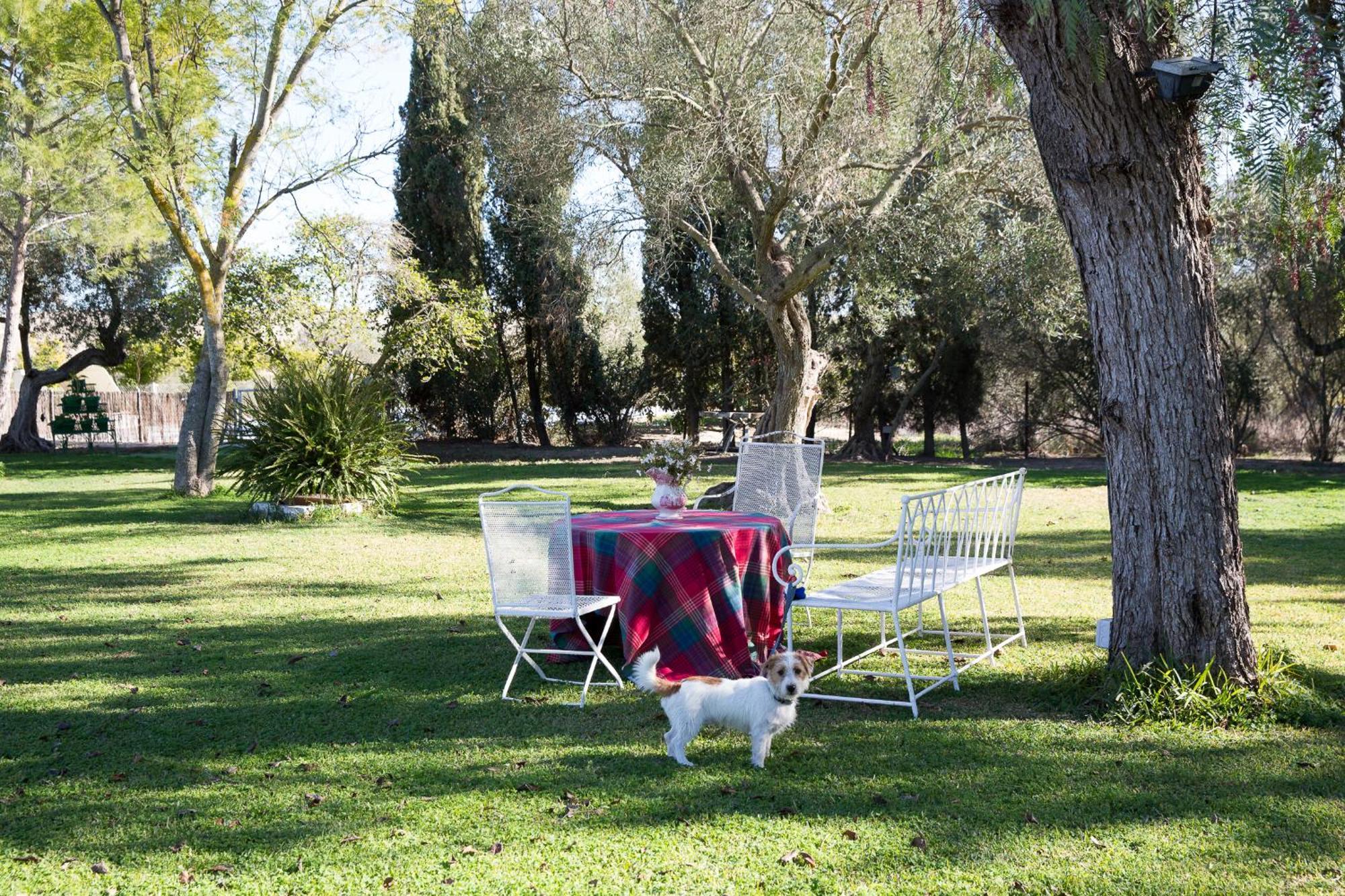 Cortijo Rural La Mariscala Villa Jerez de la Frontera Eksteriør bilde